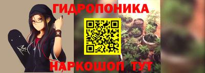mix Новодвинск