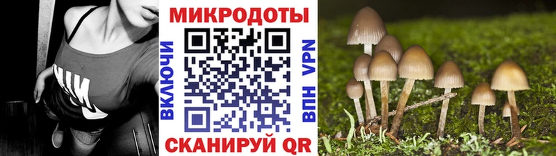 Галлюциногенные грибы мухоморы  Пермь 